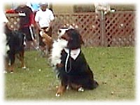 �΁[�Ɂ[�́w�́[���I�x