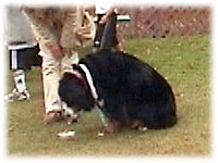 �����������܂��B