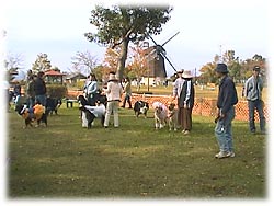 �ߌ�̊��k�̂ЂƎ�