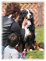 �w�����������āA�z�C�I�x