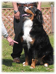 �x���K���N�A���_�t���I