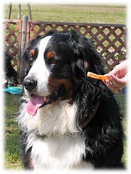 �w�j�O�I�x