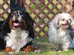 �������̂�񂱒B