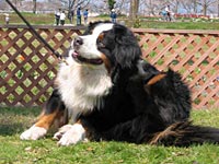 ���܂ɂ͋x�e�B�B�B