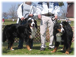 �����S�����܂�Ł[���I