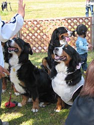 �w�́[���I�x