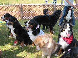 �݂�Ȃŕ��ׂ���B