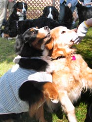 �w����ق��`���I�x