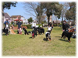 �u��[���A�h���I�v