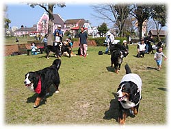 ��������B