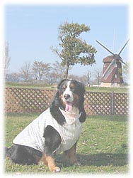 2005�t�́w�΂ɉ�x�ւ悤�����I