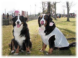 ��P�Q��w�΂ɉ�x�̎v���o