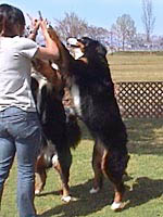 ���܂����`�I�������I