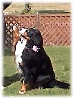 �w�́[���I�x