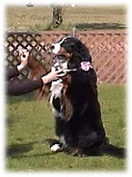 �w�����A�������I�ꐶ�����I�x