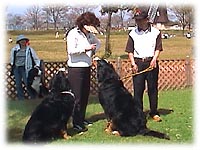 ������ܒ��̂΁[�Ɂ[