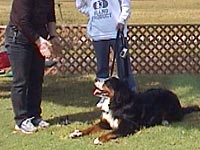 �����̐��ʂ̔��\�ł��B