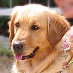 �t���������