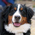 �}�C�������