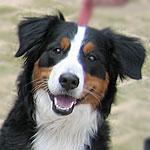 �o�[�f�B�[�����