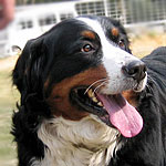 �~�i�����