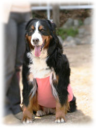 �΁[�Ɂ[�Ł[���I