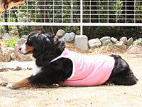 �u�t�Z�v����B