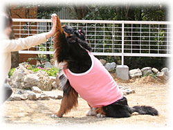 �u����������ꂽ��I�v