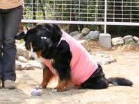 �u�������т̎��ɂ��Ă����B�v