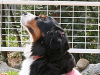 �����Ƃ��܂񂾂�E�E�E�B