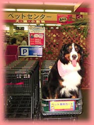 �Q�l������ŏ悹���񂾂�!!