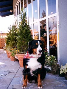 �e���X�ɂĂ����܂��΁[�Ɂ[�B