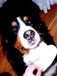 ��������炤�΁[�Ɂ[