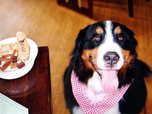 �u�����A�������[����!!�v