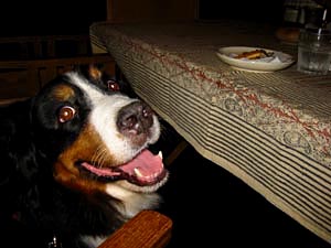 ��񂱂ɂ����K��ԁB