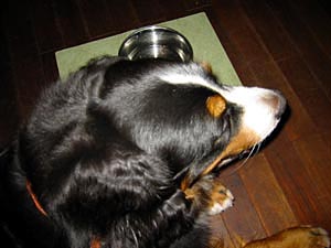 ��������`�B�΁[�Ɂ[�B