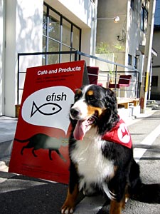 �ŔL�̓V���C�ł��Ȃ���E�E�E�B