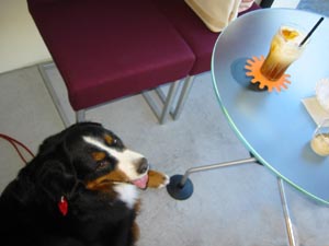 ���͑ł����ςȂ��̃R���N���[�g�B