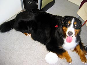 �����A���ւ�`�B