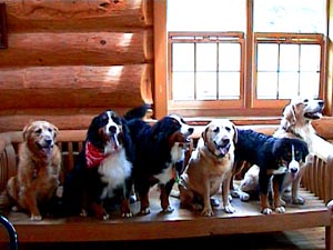 �݂�ȂŗV�ׂ���K��ԁB