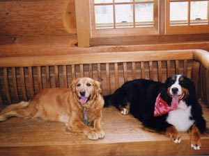 �����������i�W�΁j�ƁB