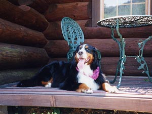 ���O�����K!!