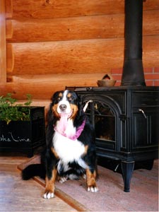 �~�͉΂������E�E�E�B