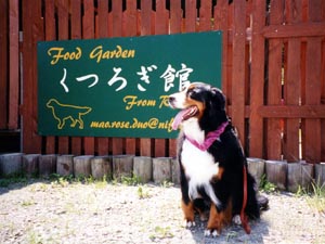 �Ŕ��ڈ�!!