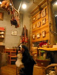 ���̌��ɂ������������E�E�E!!