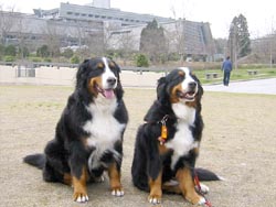 �������͉E������B