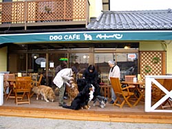 �e���X�ł��났��!!