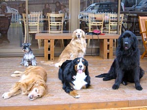 ������؂̉Ԕ��ŗV�񂾂���ˁE�E�E�B