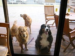 �u���čs���Ȃ��ł�`�B��΂�!!