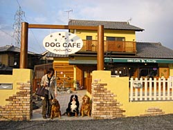 ������������B